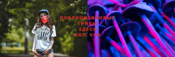 стафф Абинск