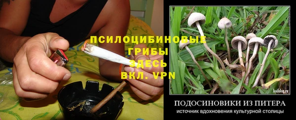 стафф Абинск