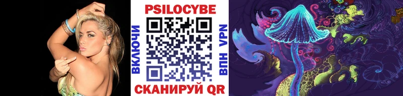 наркошоп  Кириллов  Галлюциногенные грибы Magic Shrooms 